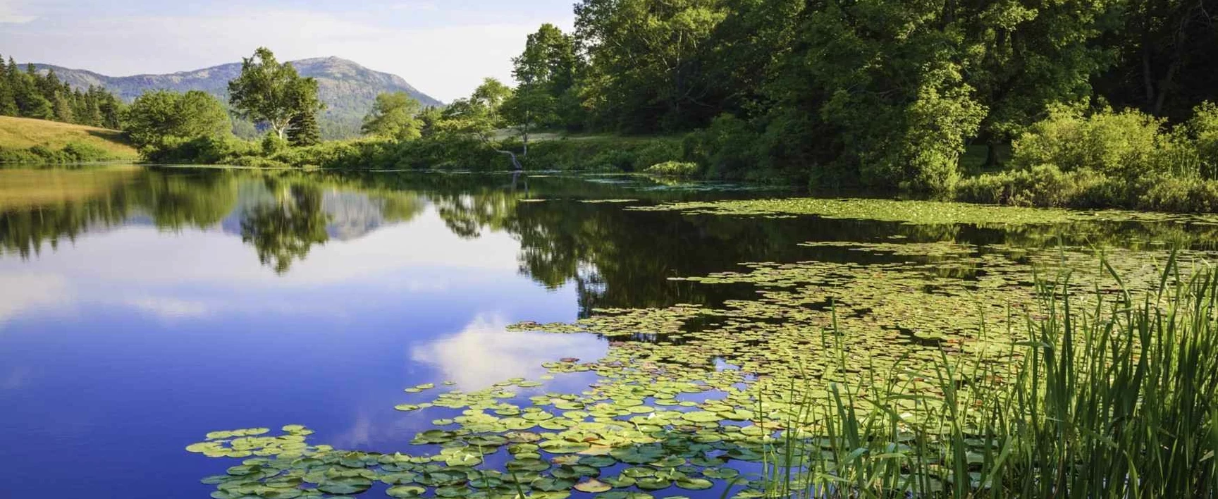 gestion-eau-environnement